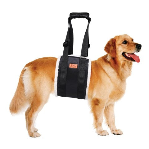 Canine Carry Harness