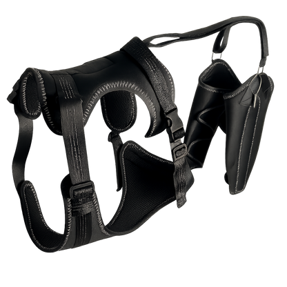 DualStride™ Canine Knee Brace
