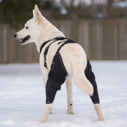 DualStride™ Canine Knee Brace