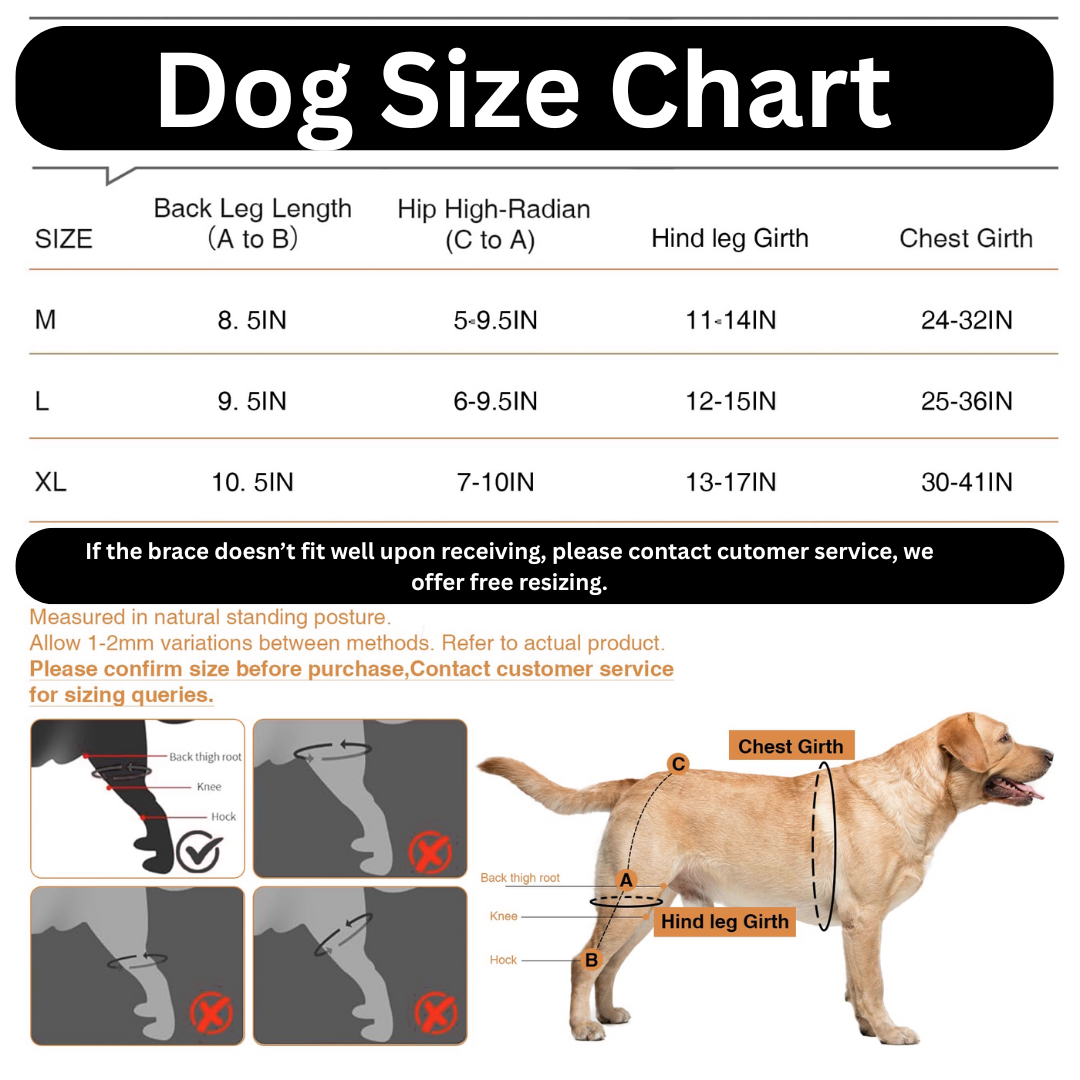 DualStride™ Canine Knee Brace